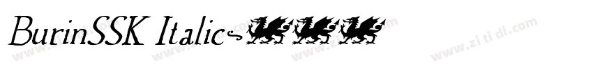 BurinSSK Italic字体转换
